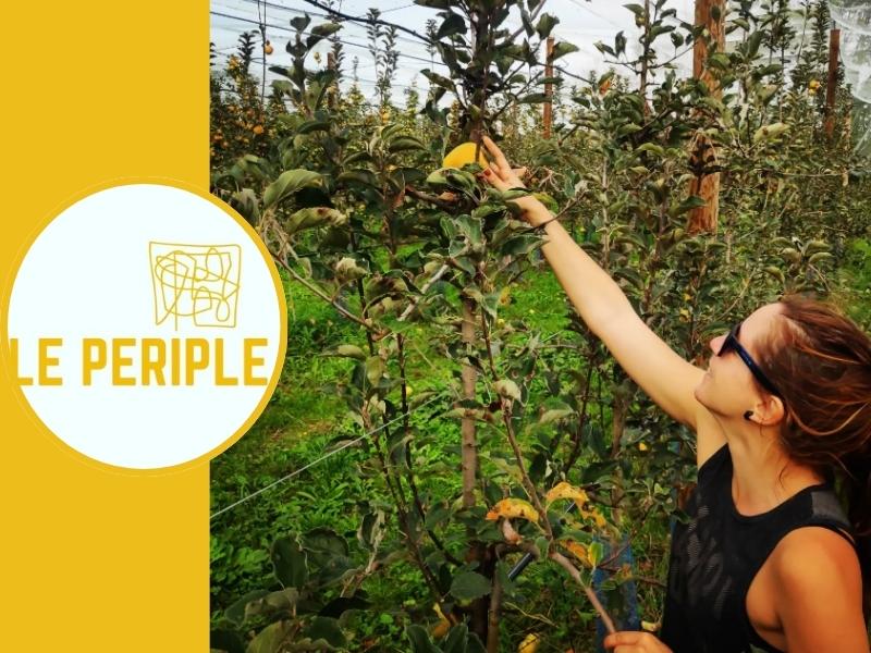 cidrerie le périple fournisseur de la crêperie esprit libre 